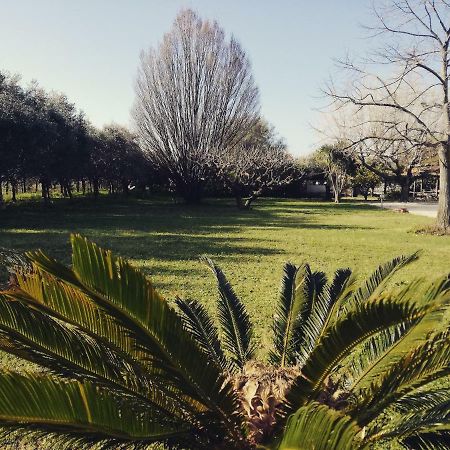 B&B Villa Napoli Battipaglia Exteriör bild