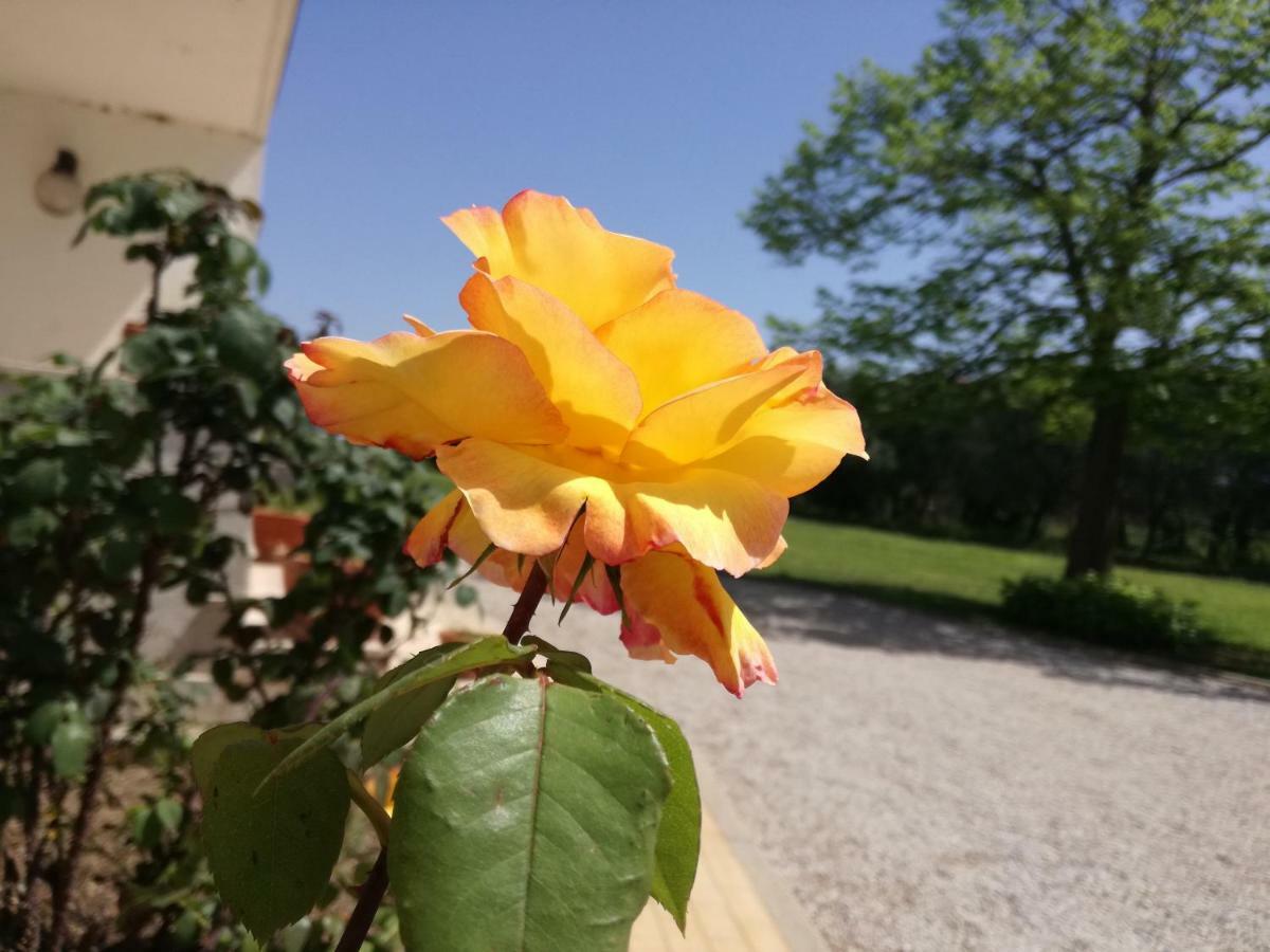 B&B Villa Napoli Battipaglia Exteriör bild