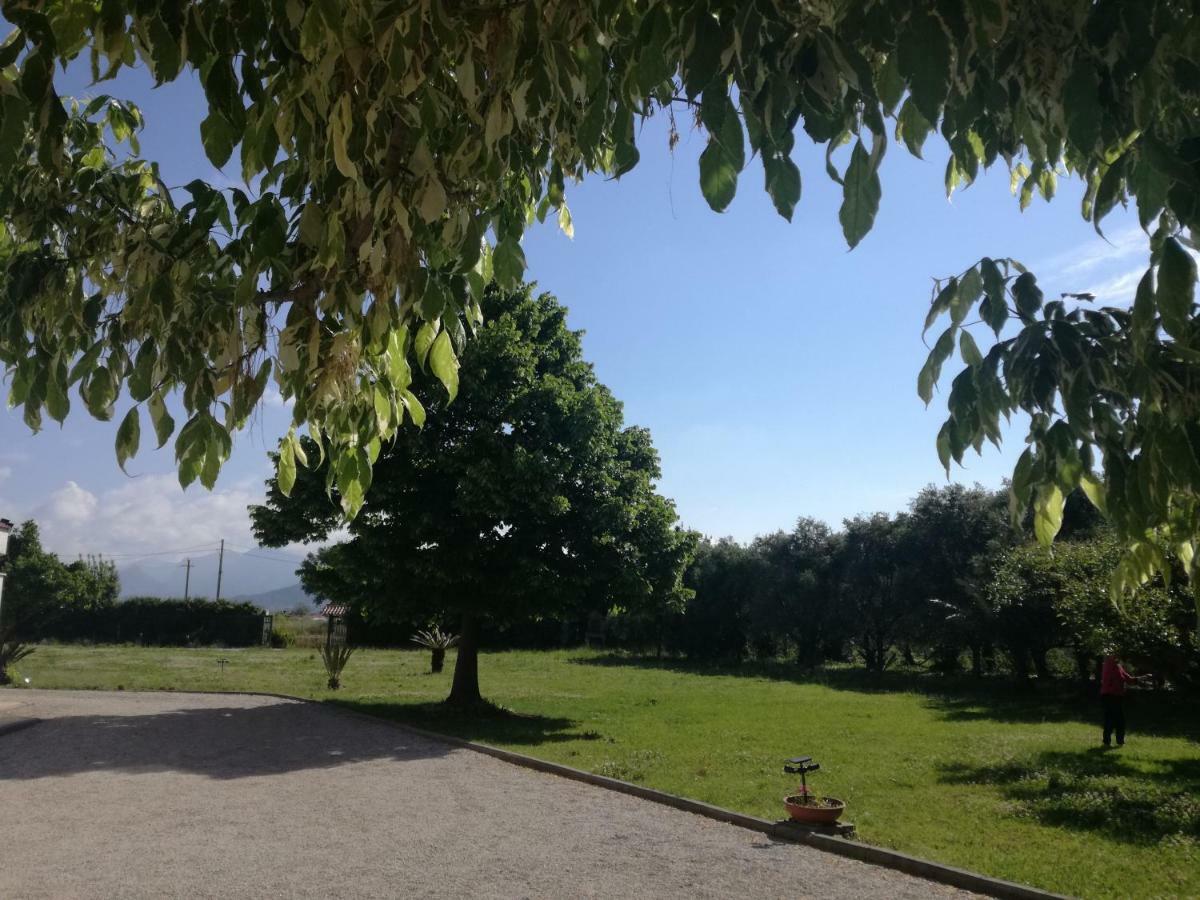 B&B Villa Napoli Battipaglia Exteriör bild