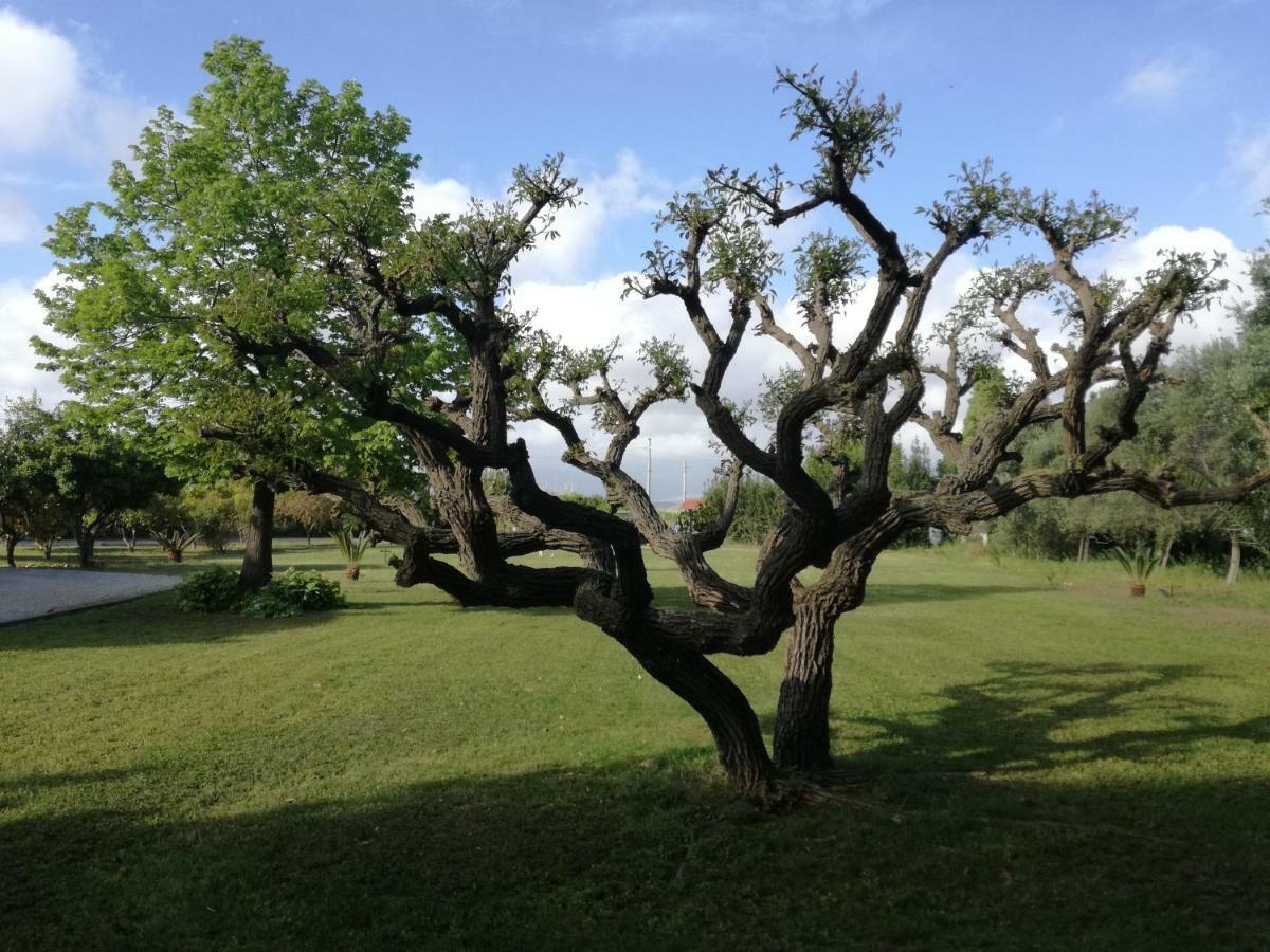 B&B Villa Napoli Battipaglia Exteriör bild
