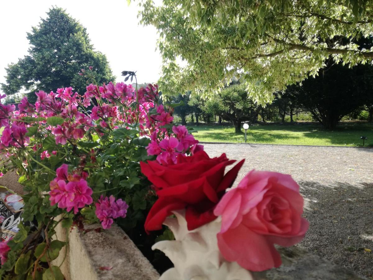 B&B Villa Napoli Battipaglia Exteriör bild