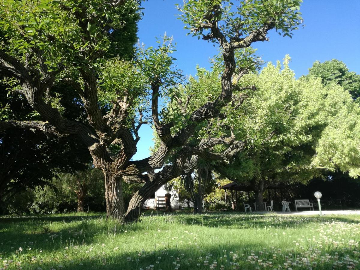 B&B Villa Napoli Battipaglia Exteriör bild